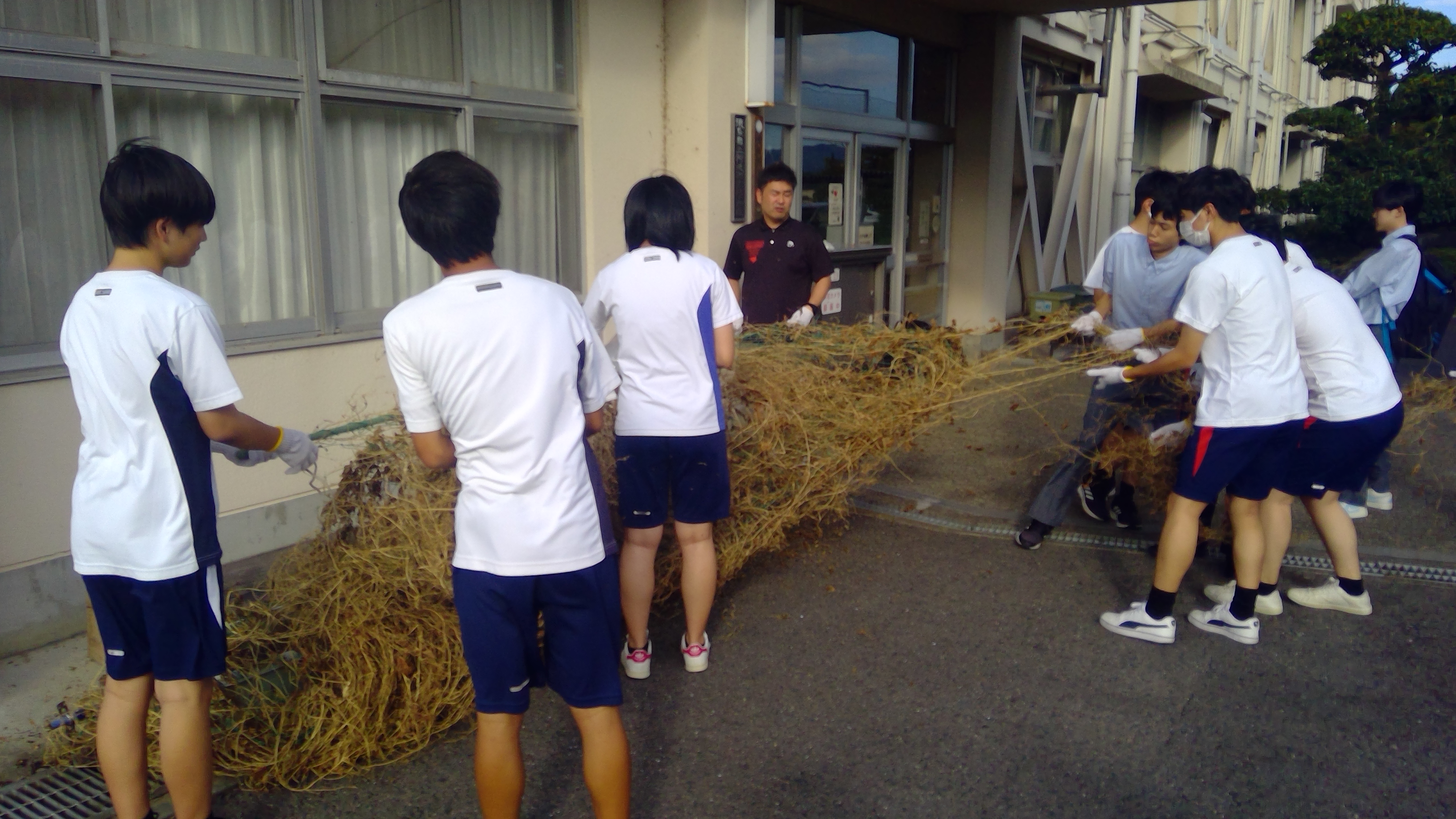 20250918ゴーヤ撤去 (6)