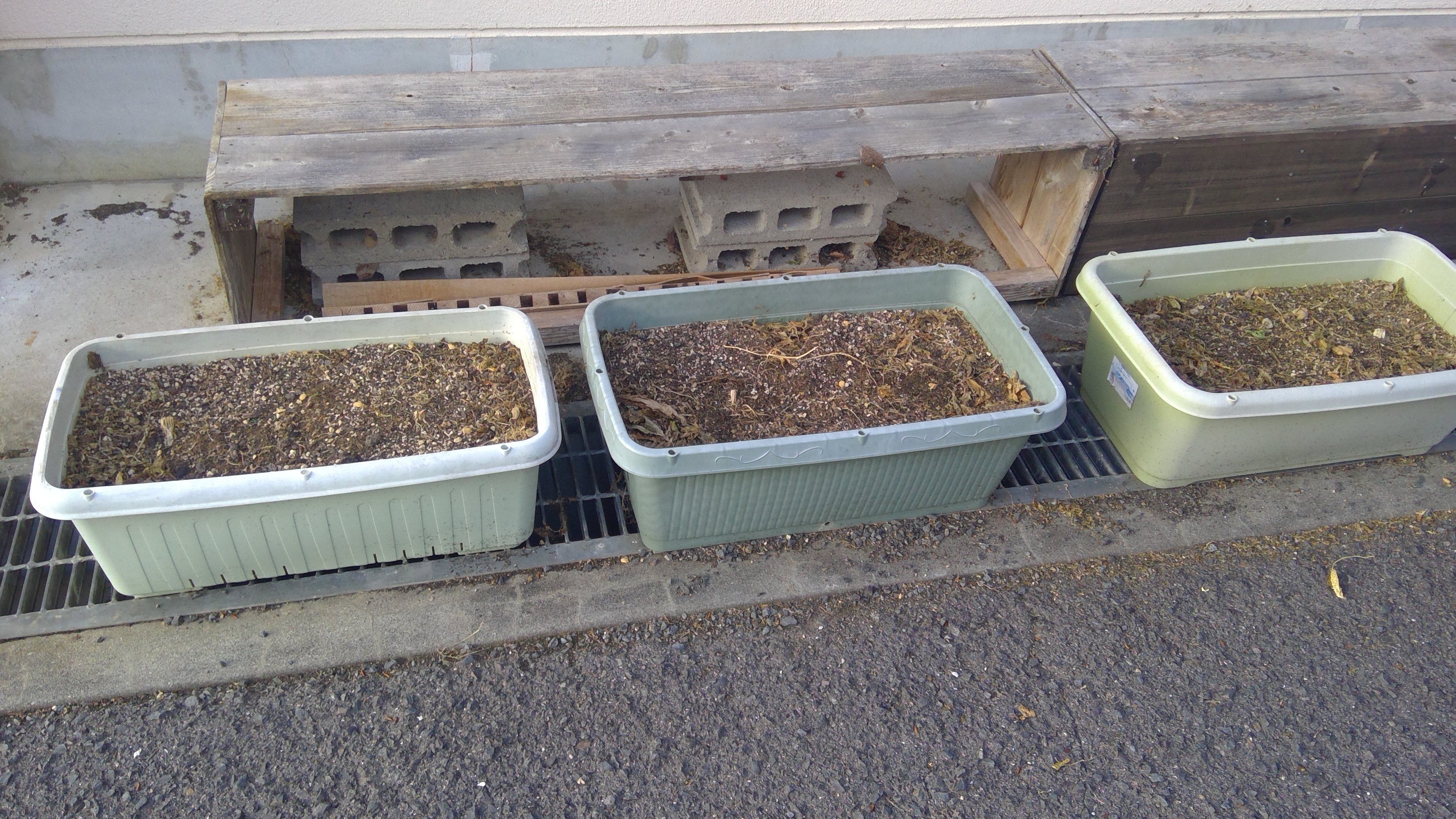 20250918ゴーヤ撤去 (21)