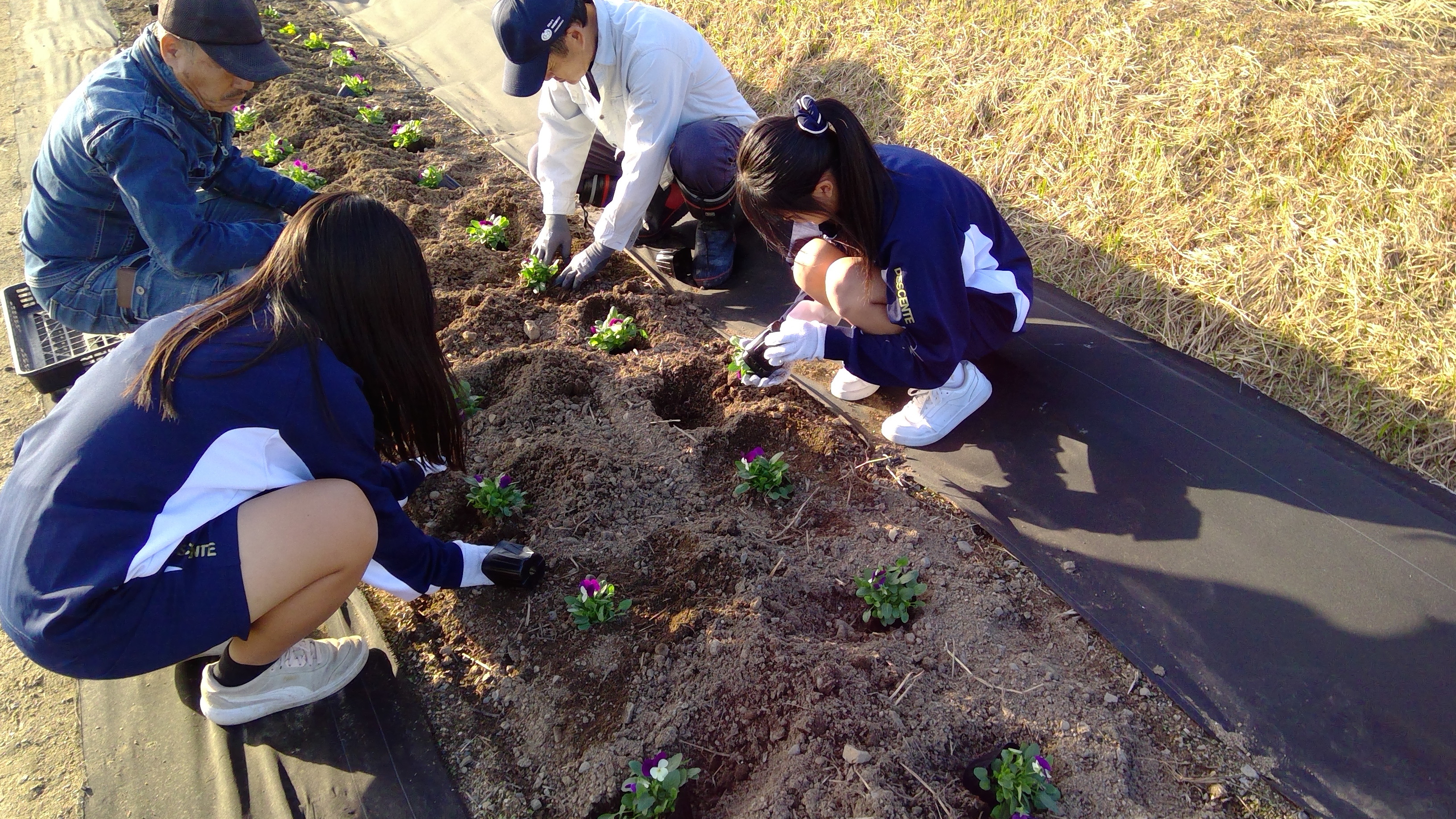 WIN_20251110_15_27_10_Pro