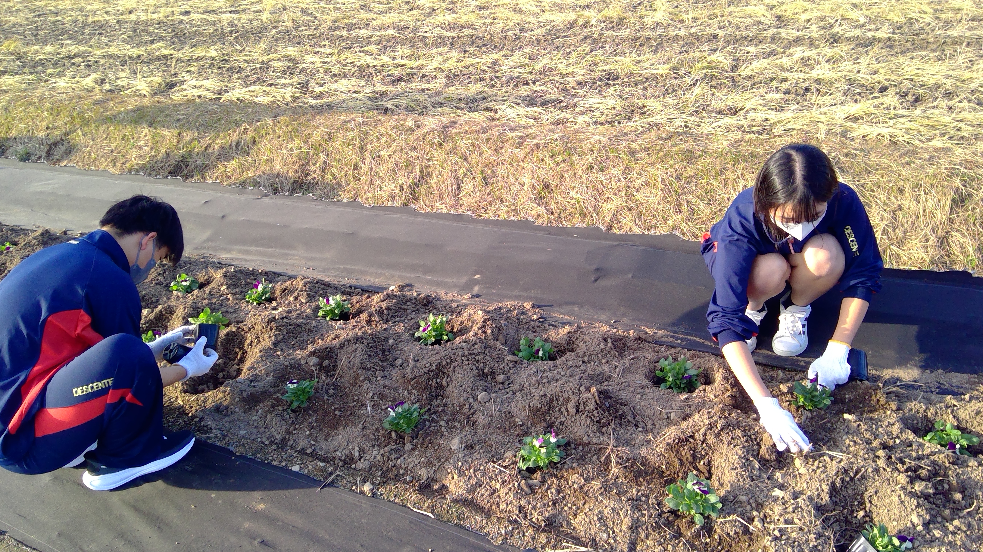 WIN_20251110_15_28_08_Pro