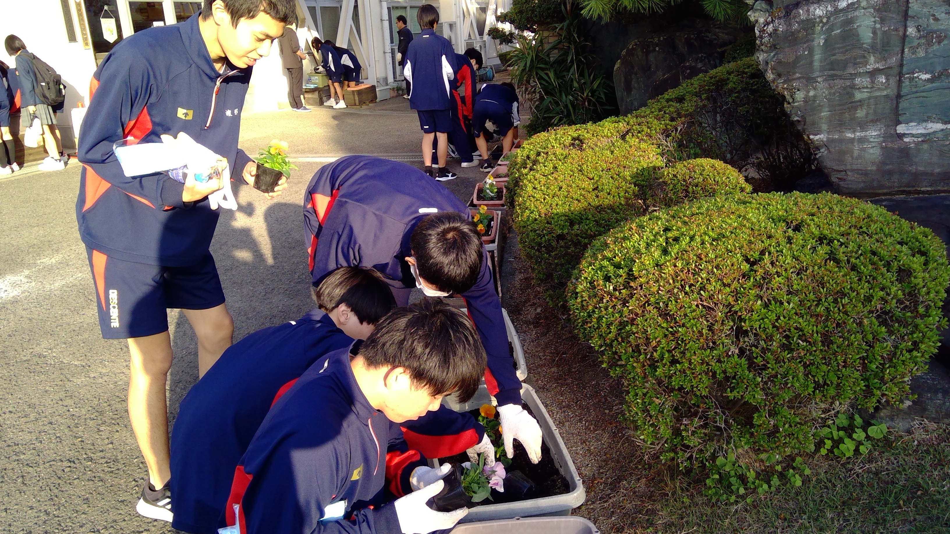 WIN_20251110_15_47_02_Pro