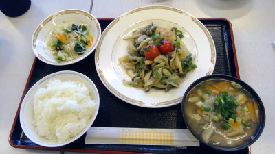 WIN_20260219_12_24_37_Pro