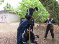 エレクトリックフェンス１２